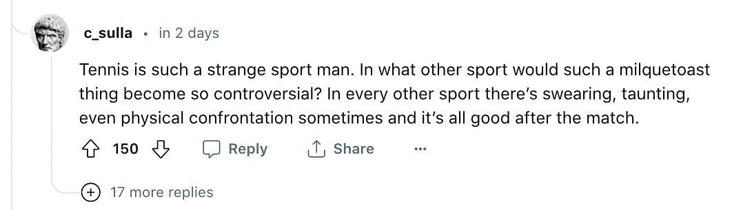 Screengrab of the fan comment on Reddit